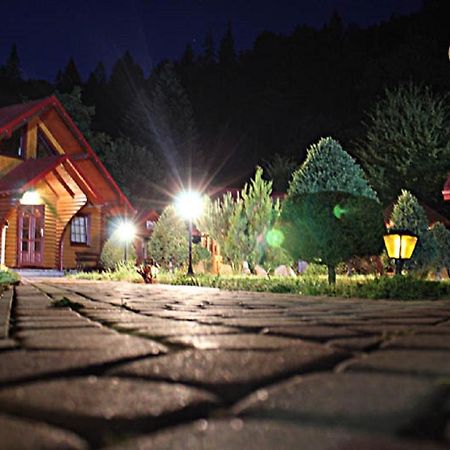 ホテル Sokolyne Gnizdo Korostov エクステリア 写真